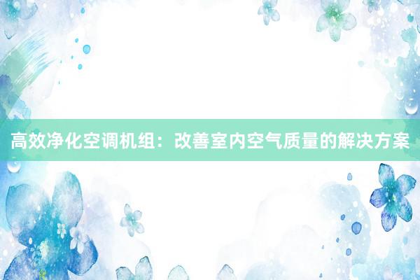 高效净化空调机组：改善室内空气质量的解决方案